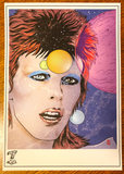 Bowie: Stardust, Rayguns, & Moonage Daydreams HC, signed by Mike & Laura Allred!